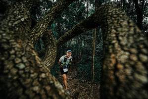 BIB: 
                            <button type="button" onclick="openModal(25672940)" class="btn btn-primary btn-sm float-right btn-popup" data-toggle="modal" data-target=".modal-high-quality">
                        <i class="fas fa-shopping-cart"></i> Add to Cart
                    </button>
                                            <button type="button" onclick="isThisMe(25672940, true)" class="btn btn-success btn-sm float-right btn-popup btn-isme hidden" data-toggle="tooltip" data-placement="bottom" title="นี่คือรูปของคุณใช่ไหม คลิกที่นี่เพื่อเอาเข้าอัลบั้ม">
                        <i class="fas fa-plus"></i> Add to album
                    </button>
                    <button type="button" onclick="isThisMe(25672940, false)" class="btn btn-warning btn-sm float-right btn-popup btn-isnotme hidden">
                        <i class="fas fa-ban"></i> Remove from album
                    </button>